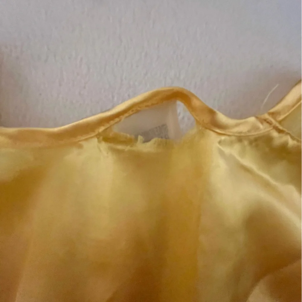 Disney Live Action Belle Costume Dress